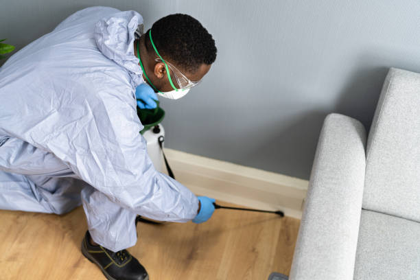 Best Pest Prevention Services  in Steamboat Springs, CO